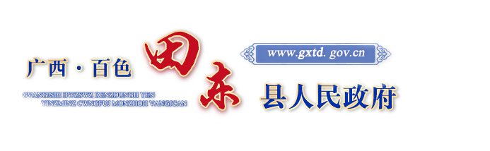 广西百色田东县人民政府门户网站 - www.gxtd.gov.cn